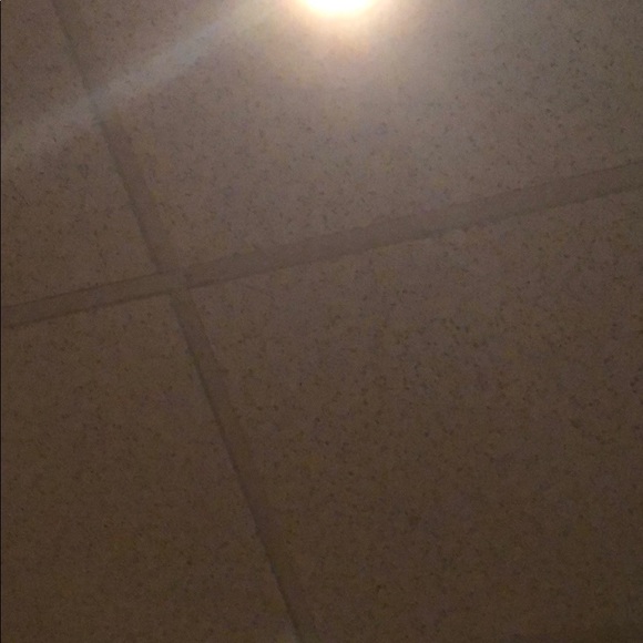 rebeccalafogg